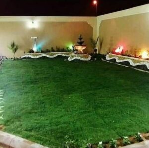 العشب الطبيعي للحدائق