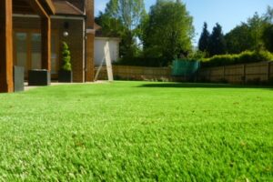 افضل انواع العشب الطبيعي