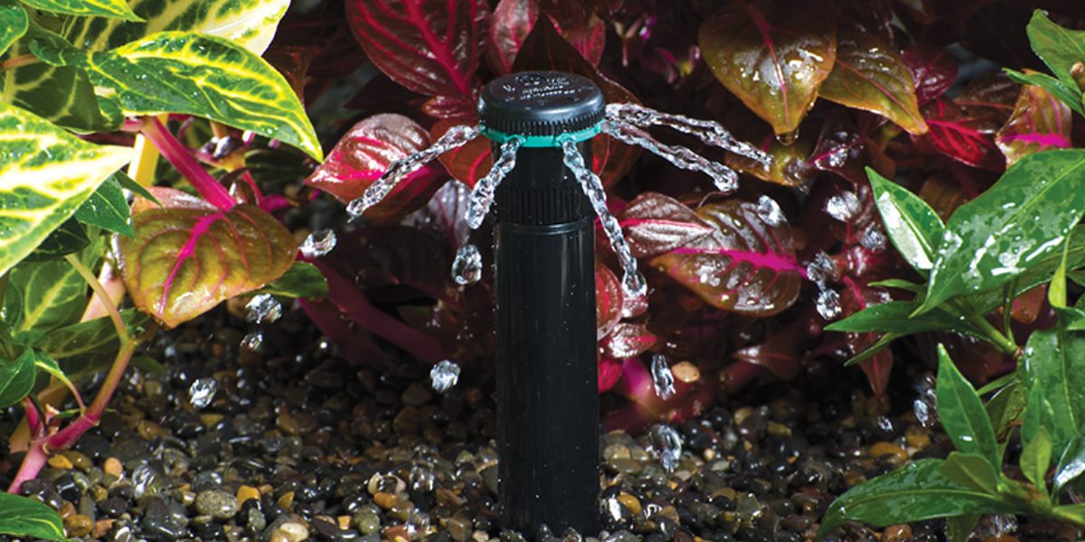 شبكات ري الحدائق