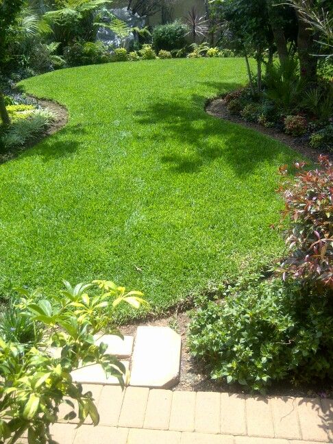 تركيب عشب بجدة