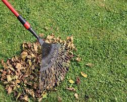 صيانة حدائق منزليه