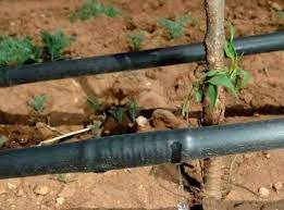 تركيب شبكات الري