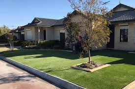 أنواع العشب الطبيعي