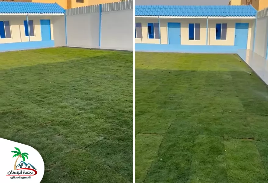 ثيل طبيعي