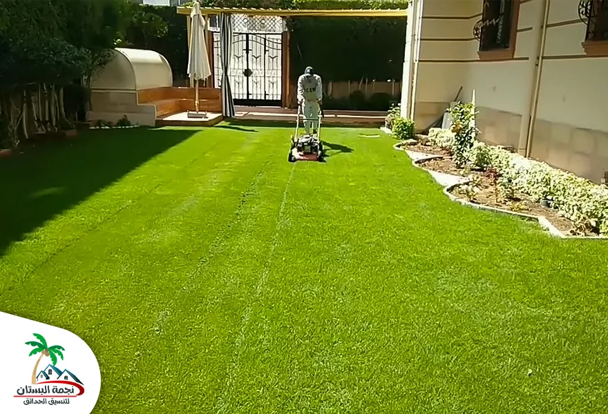 تنسيق حدائق