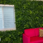 عشب جداري بجدة نجمة البستان