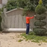 قص الشجر للحدائق في مكة وجدة
