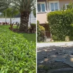 قص الشجر للحدائق بجدة