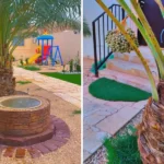 زراعة النخيل بجدة ومكة