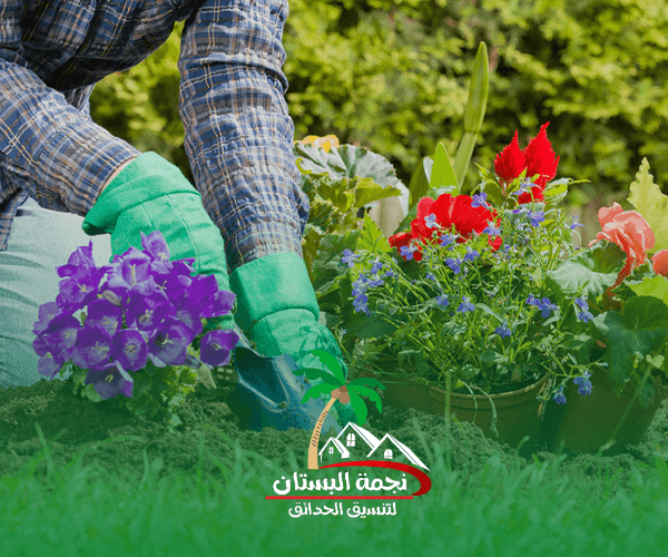 تنسيق احواض الزرع للحدائق