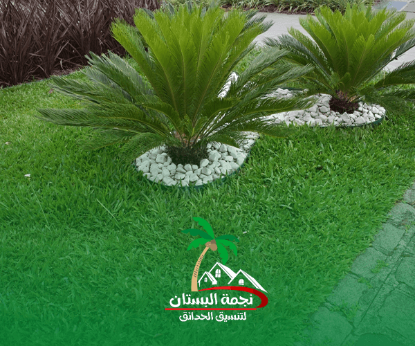 تنسيق احواض الزرع للحدائق