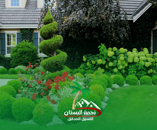 تنسيق النباتات