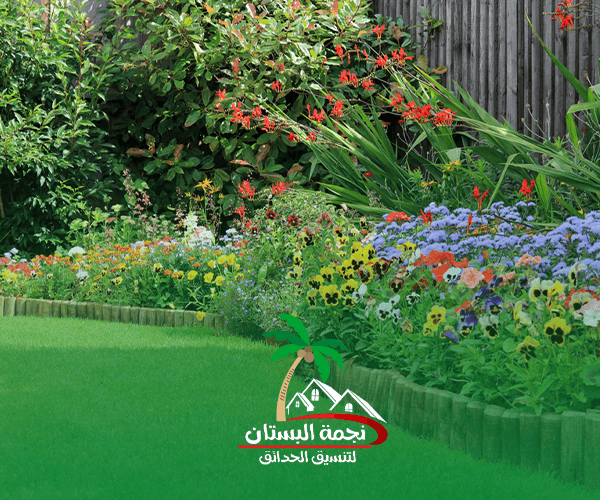 تنسيق النباتات