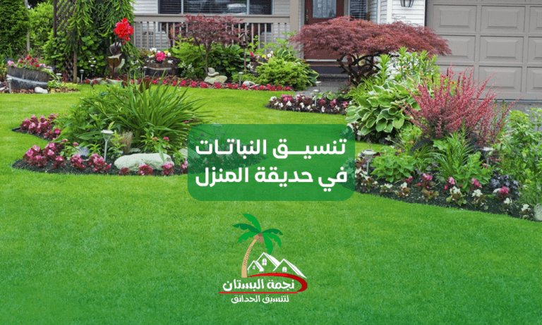 تنسيق النباتات للمنازل