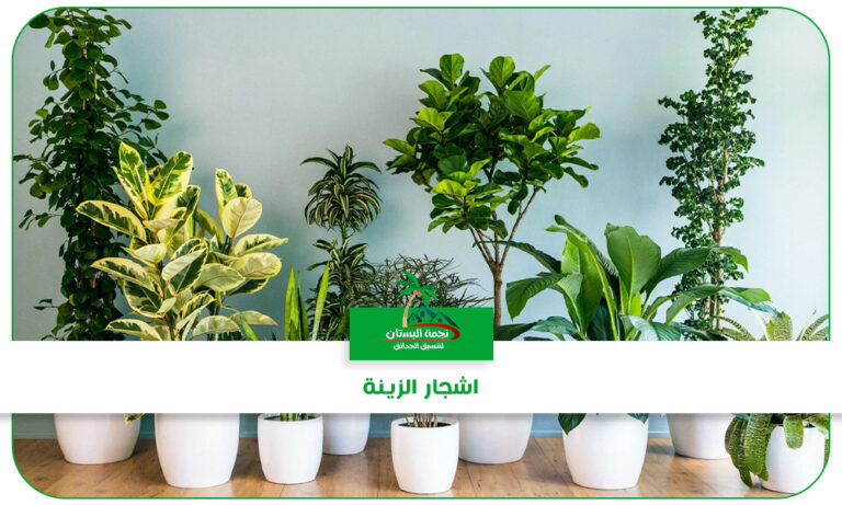اشجار الزينة للحدائق