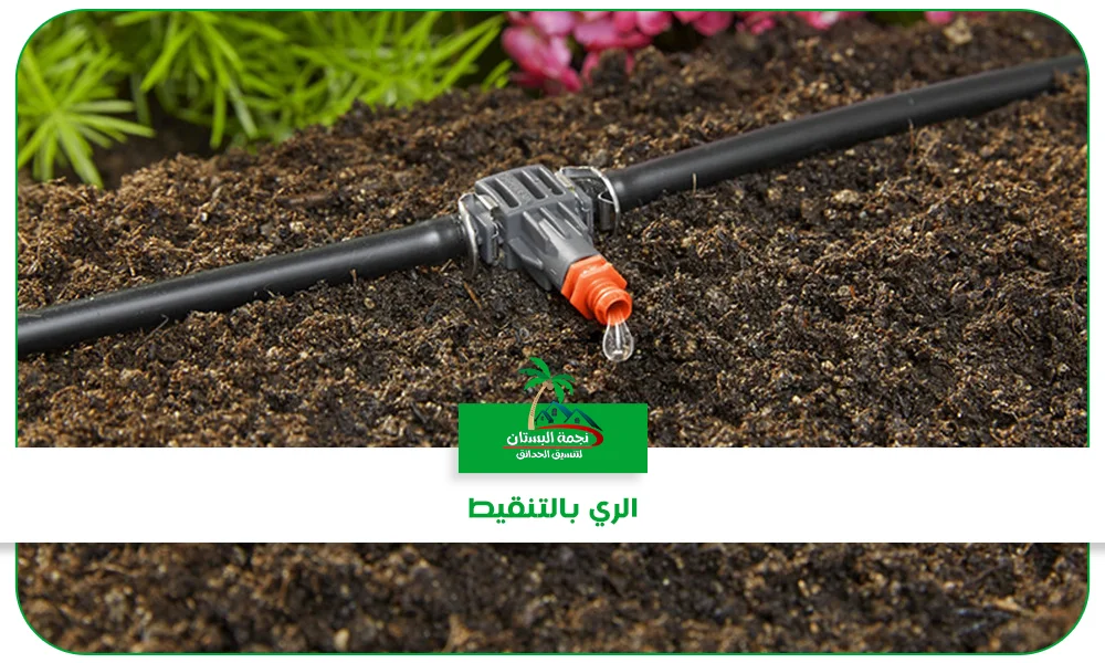 تركيب شبكات الري بالتنقيط