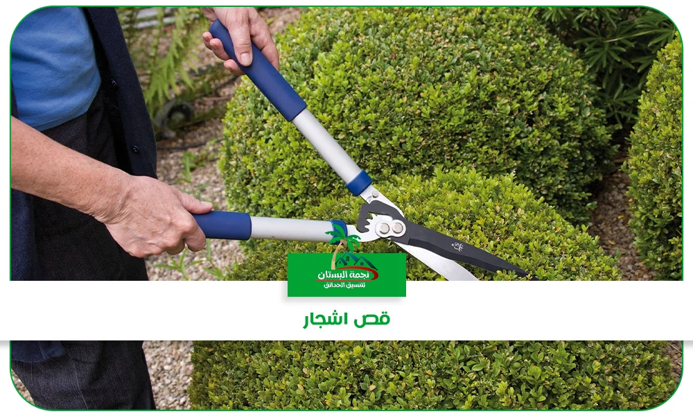قص اشجار