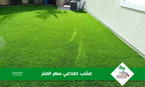 عشب صناعي سعر المتر