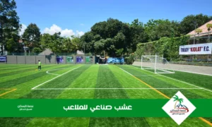عشب صناعي للملاعب