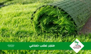  متجر عشب صناعي