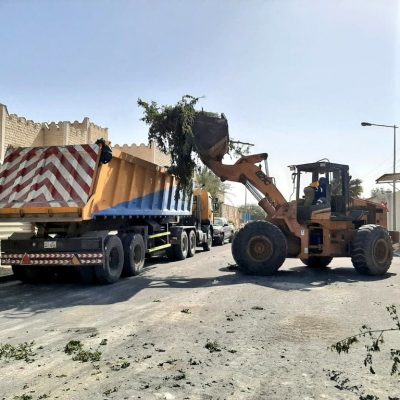 صيانة حدائق