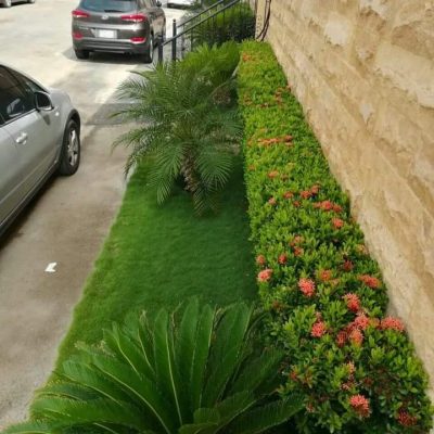 تنسيق حدائق جدة